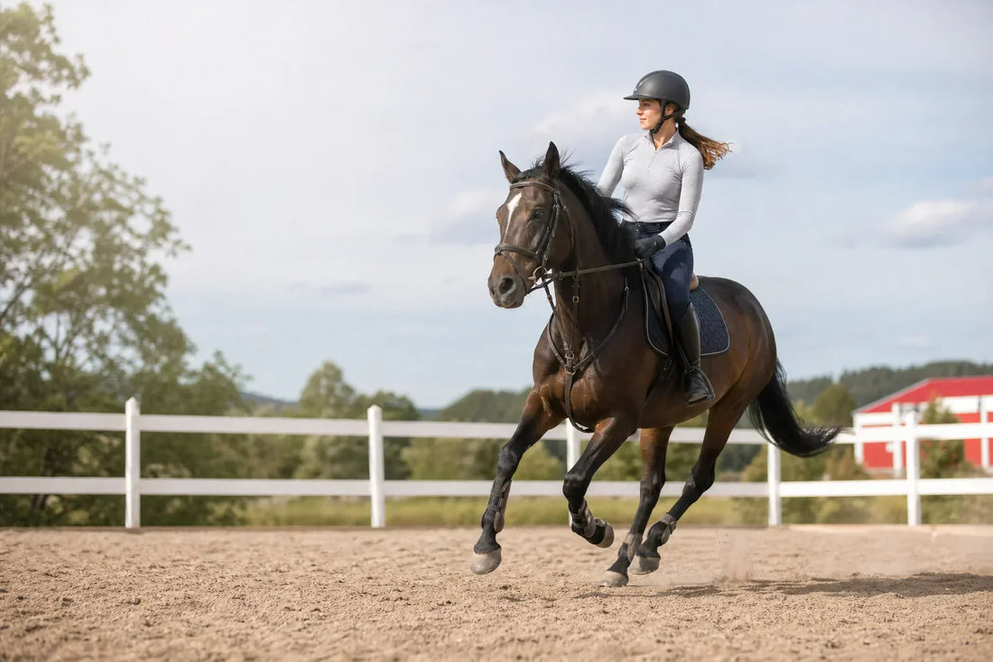 Best Auto-Tracking Camera for Horse Riding