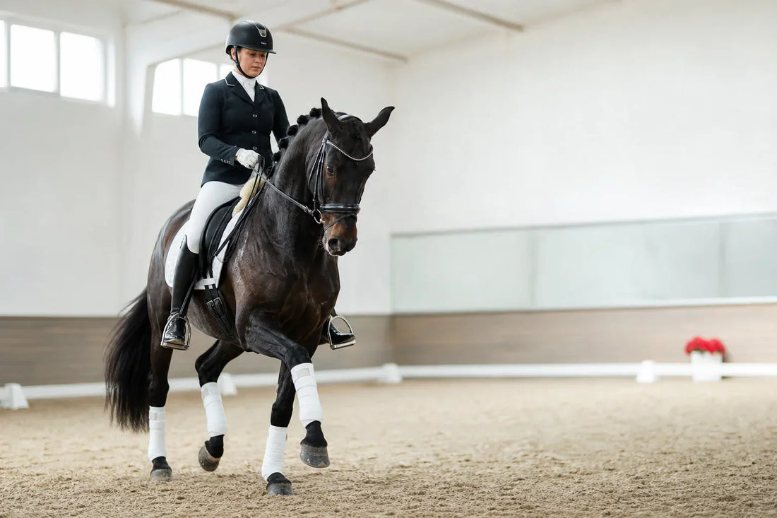 Best Camera for Dressage Training Videos