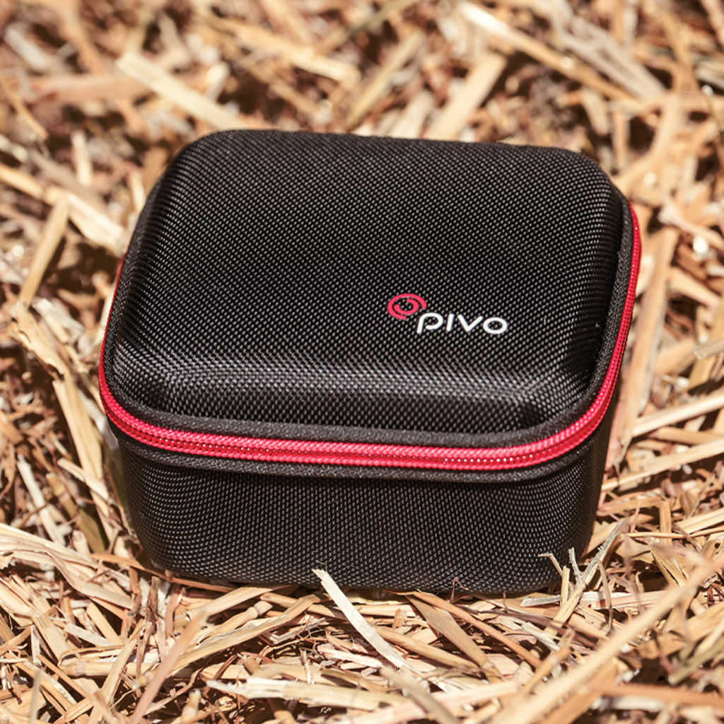 Compact Pivo Travel Case Mini with durable shell for secure storage of Pivo Pod, photographed outdoors.