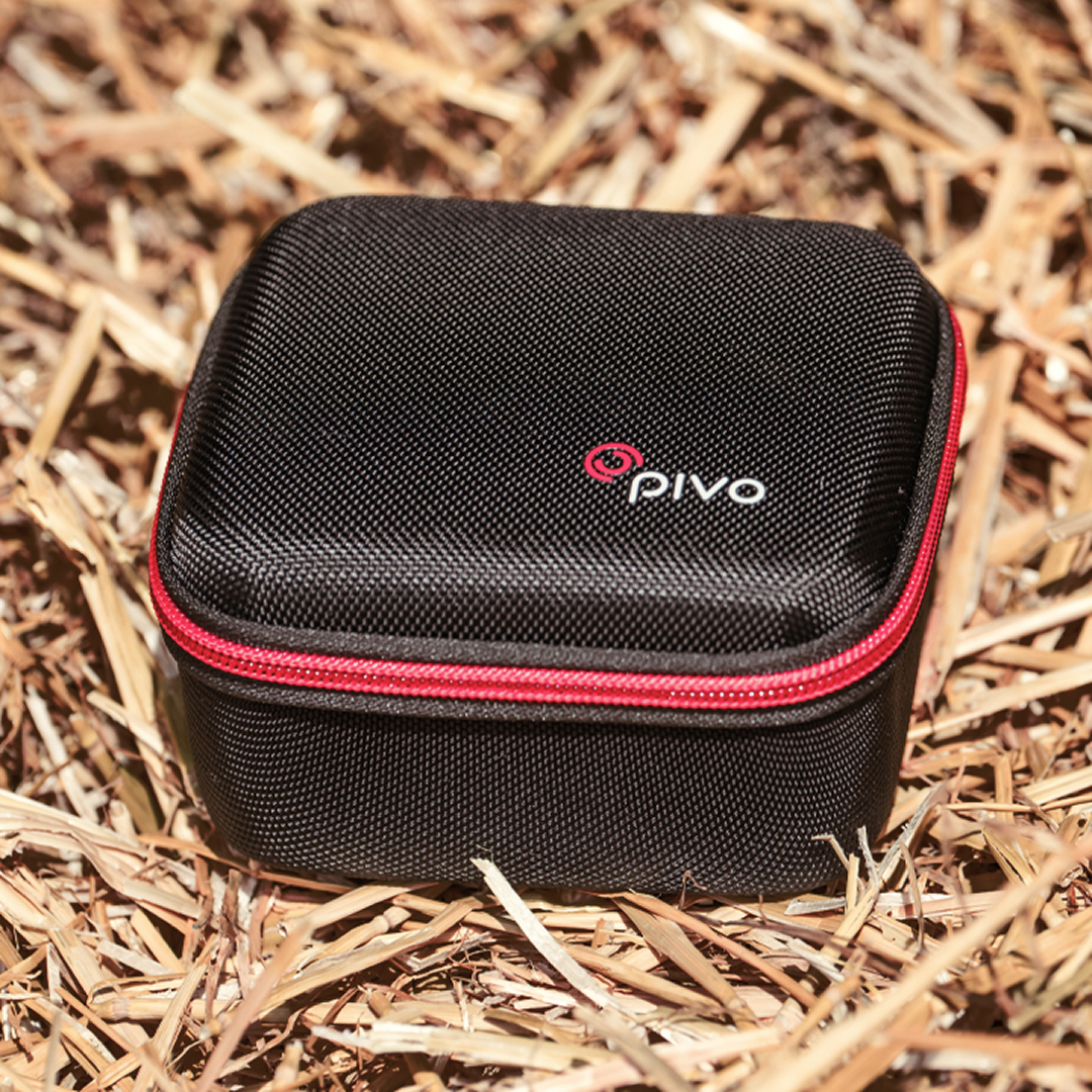 Compact Pivo Travel Case Mini with durable shell for secure storage of Pivo Pod, photographed outdoors.