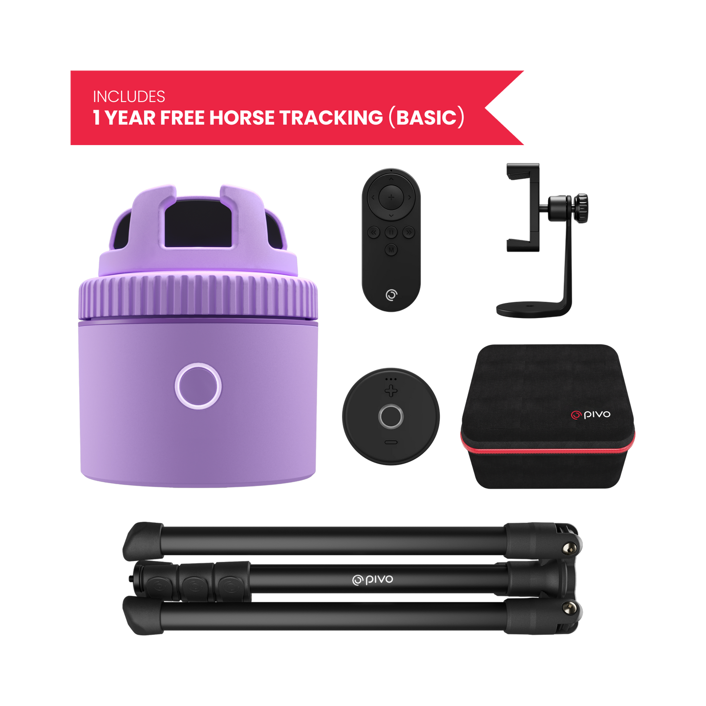 Purple / Equestrian Virtual Lesson Pack